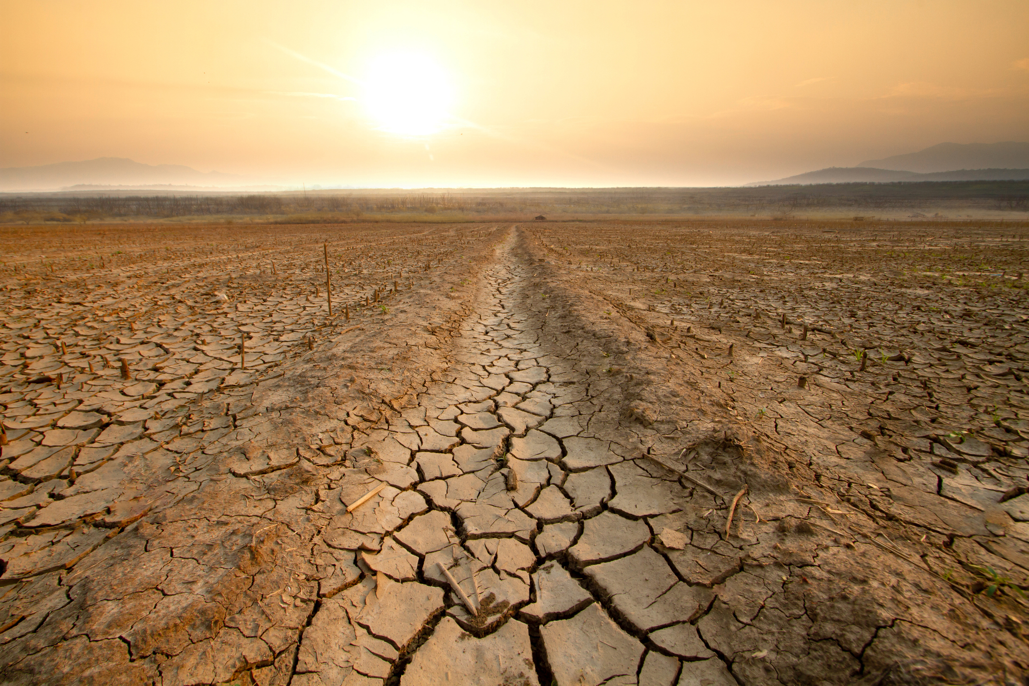 Environmental Risks and Insurance – Navigating Climate Change
