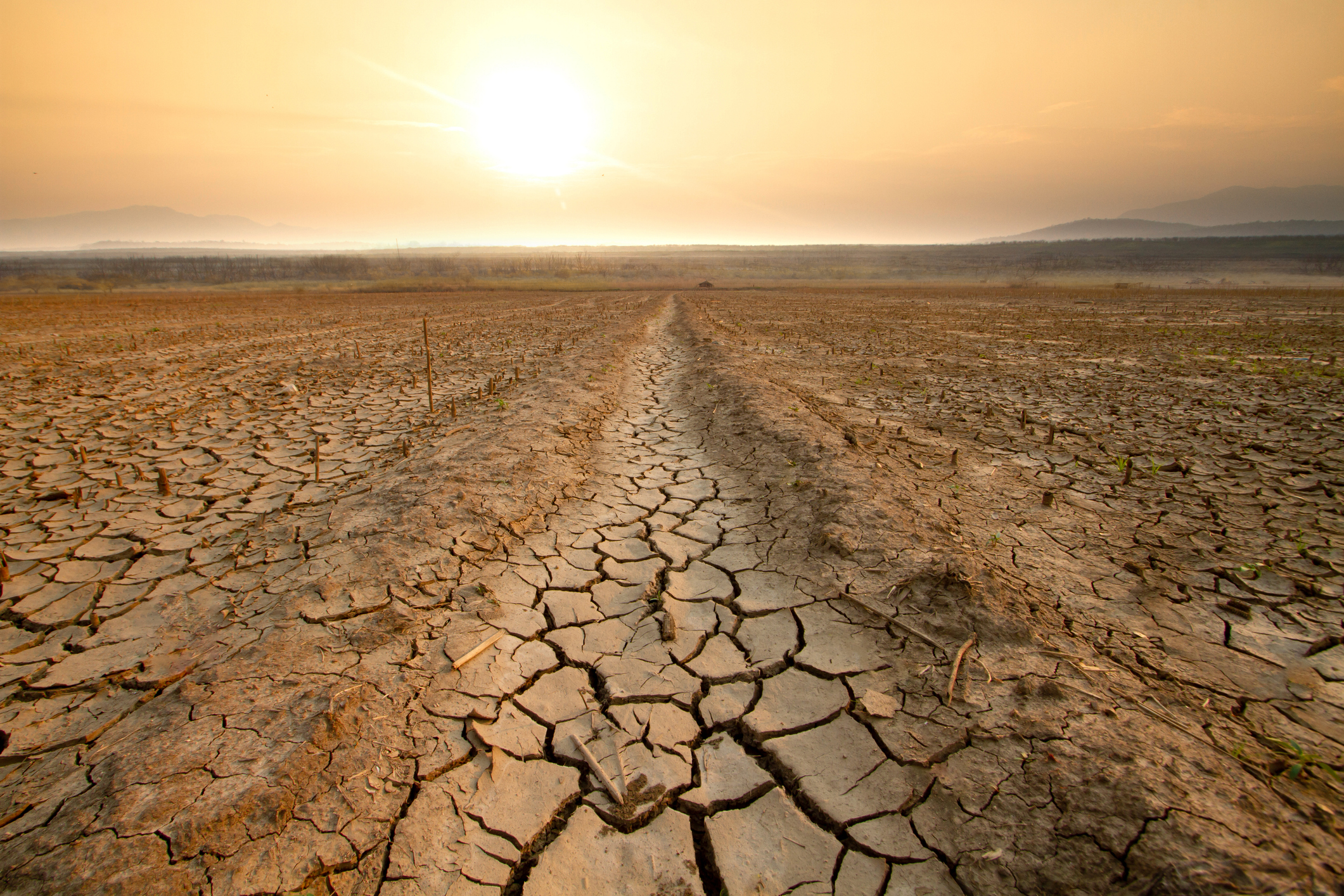 Environmental Risks and Insurance: Navigating Climate Change